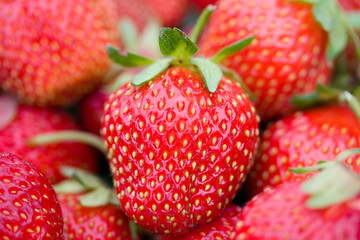 ripe strawberries