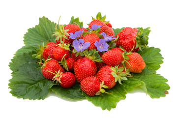 strawberries on leafs