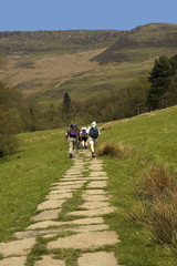 Fototapeta premium pennine way