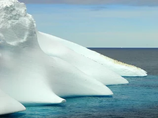 Foto op Canvas Antarctic penguin group and iceberg © kkaplin