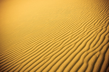 highly detailed texture of sand dunes