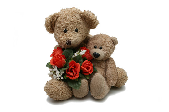 Deux oursons avec des fleurs