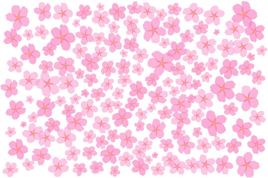 桜3
