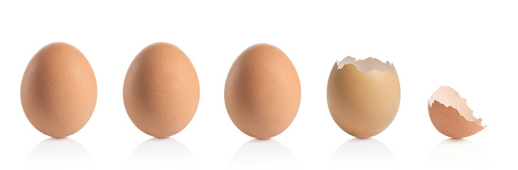 Eggshells isolated against white background