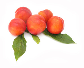 Nectarines with leaves