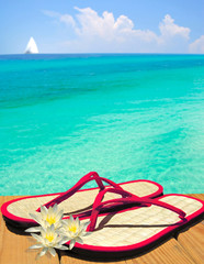 Pink and flowers Sandals on Dock