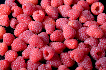 Fresh raspberries