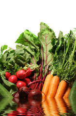 Basket of Vegetables