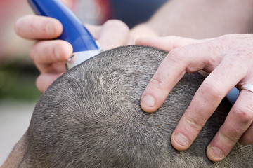 Fototapeta premium crane rasé