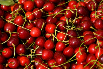 cherry