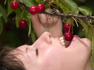 Cherry tasting