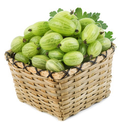 Green gooseberry fruit in a basket