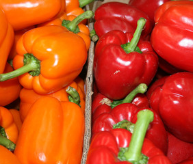 Red and Orange Peppers