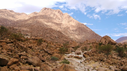 Namibie, désert de pierre