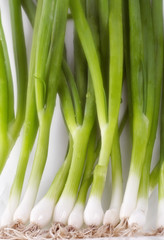 Obraz premium shallot background