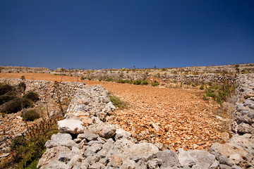 Rock field