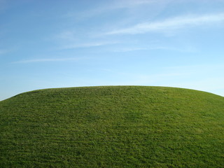 Verde da relva e azul do céu