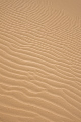 Fototapeta na wymiar fale na piasku