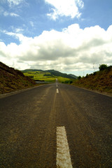 beautiful dirt road and meadow