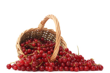 Johannisbeeren mit Korb