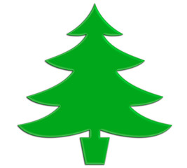 Sapin vert