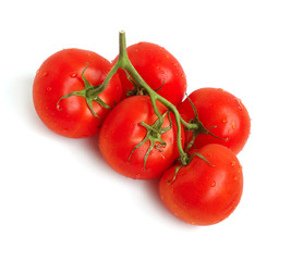 Tomatoes