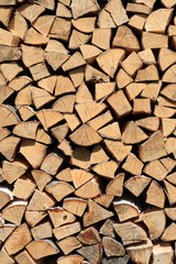 Fototapeta premium The logs