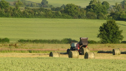 Mise en balle du foin