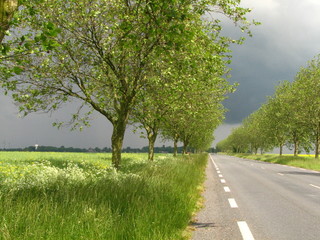 Route nationale