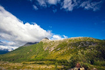 Fototapeta premium rural norway
