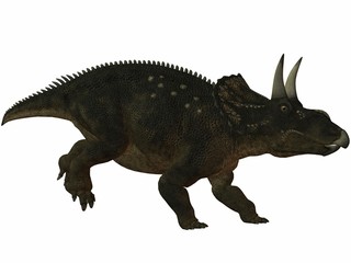 Diceratops-3D Dinosaurier