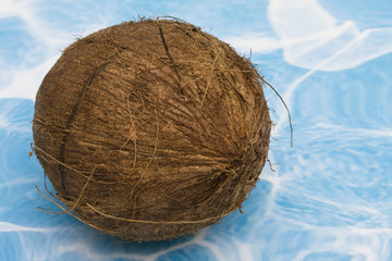 Coconut
