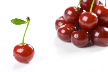 Cherry