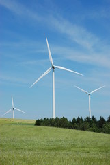 Fototapeta premium Trois éoliennes