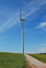 Eolienne et chemin