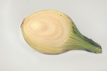Onion