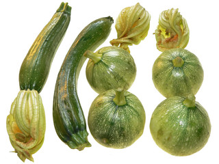 courgettes