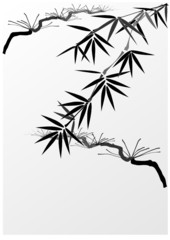 Bamboo and pine