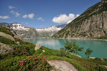 Obraz na płótnie Canvas Lac Suisse