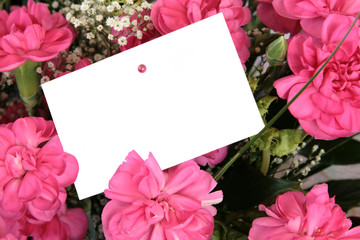 Pink carnations with empty gift tag