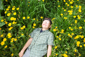 boy laying on  dandelion meadow