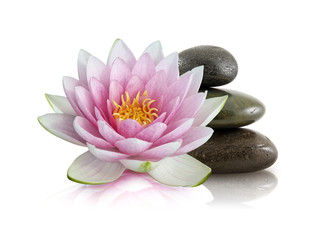 Fototapeta na wymiar Kwiat lotosu i zen kamienie