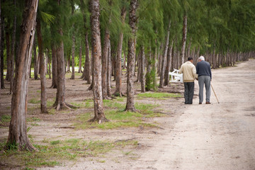 Obraz premium vieillir vieillesse aide vieux âge troisième soutenir accompagne