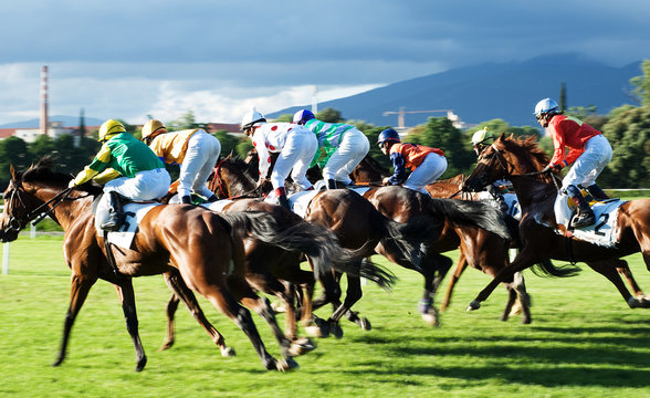 The Race