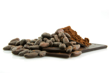 Bacche cacao