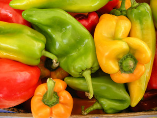 Paprika