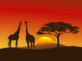Fototapeta na wymiar Giraffe Silhouette 2