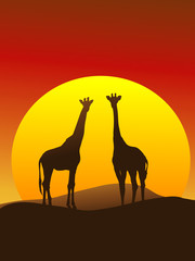 Fototapeta na wymiar Giraffe Silhouette Vertical Composition