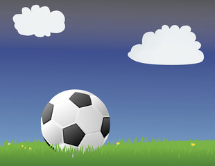 Obraz premium Soccer/Football