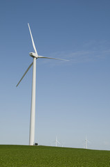 Fototapeta premium Wind Turbines on Iowa Soybean Field